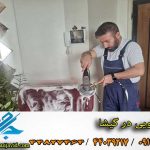 مبل شویی در گیشا