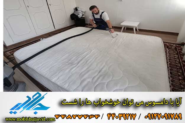 آیا با دامسوس می توان خوشخواب را شست